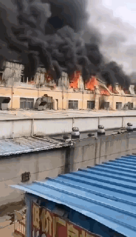 3663vs.gif 3663vs.gif